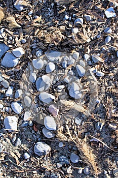 Beach stones texture