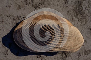 Evocative rock formations in desert