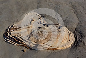 Evocative rock formations in desert