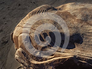 Evocative rock formations in desert