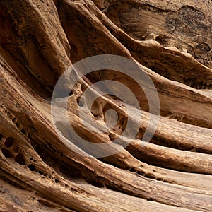 Evocative sandstone shapes