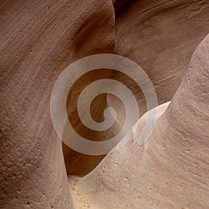 Evocative sandstone shapes