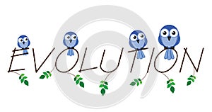 Evolution