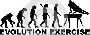 Evolution exercise pommel horse