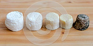 The evolution of goat cheese during its maturation. French cheese
