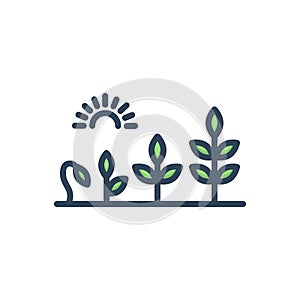 Color illustration icon for Evolution, development and growth