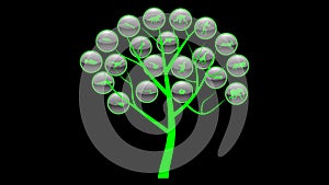 Evolution of species illustration