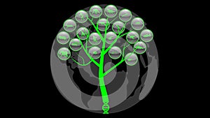 Evolution of species illustration