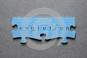 Evolution Jigsaw Matched