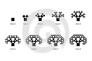 Evolution of a Pythagoras tree, a fractal constructed from squares