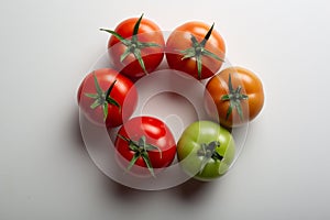 Evolution of red tomato