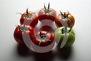 Evolution of red tomato