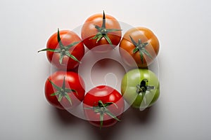 Evolution of red tomato