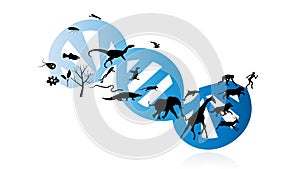 Evolution of species illustration