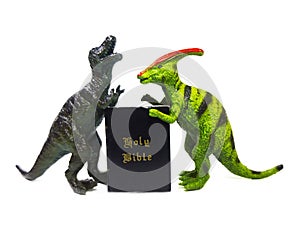 Evolution vs Creationism