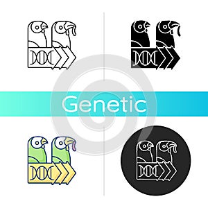 Evolutionary genetics icon