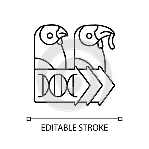 Evolutionary genetics linear icon