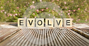 Evolve word made with building blocks, concept