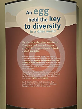 Evolving Planet exhibit at The Field Museum in Chicago, Illinois