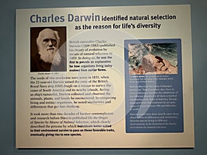 Evolving Planet exhibit at The Field Museum in Chicago, Illinois