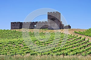 Evora Castelo de Valongo