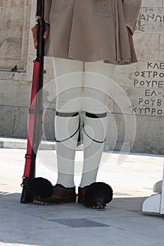 Evzones standing guard in front of the Parliament in Athens.