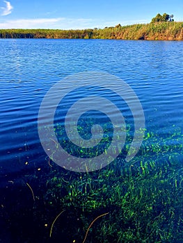 Ewens Ponds Clear Water Limestone Coast