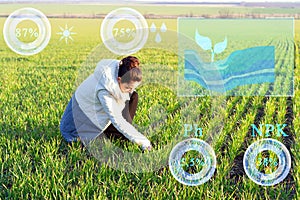 Examination of the root system of plants using sensors. Processing and analysis of the data obtained by artificial intelligence to