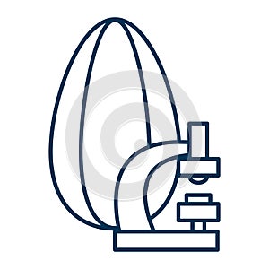 Examination of sunflower grains. Analysis and research of kernel. Vector thin line icon of grain and microscope. Isolated for Web