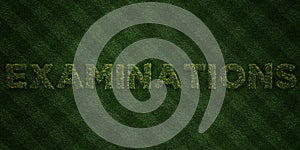 EXAMINATIONS - fresh Grass letters with flowers and dandelions - 3D rendered royalty free stock image