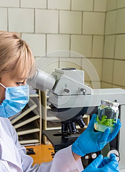 Examine in the laboratory under a microscope. Selective focus.