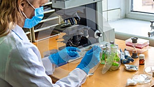 Examine in the laboratory under a microscope. Selective focus.