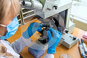 Examine in the laboratory under a microscope. Selective focus.