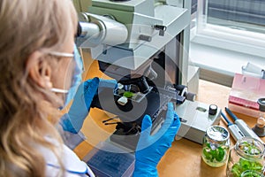 Examine in the laboratory under a microscope. Selective focus.