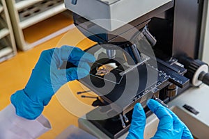 Examine in the laboratory under a microscope. Selective focus.