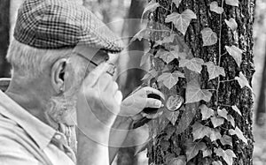 Examine with magnifying glass. Magnifying glass selective focus. Old man look at leaves with magnifying glass. Exploring