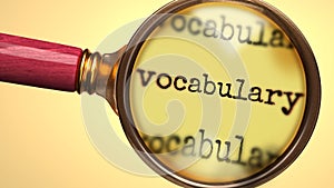 Examine and study vocabulary, showed as a magnify glass and word vocabulary to symbolize process of analyzing, exploring, learning