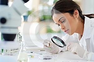 Examining it all in detail. a young scientist using a magnifying glass to analyse a plant in a lab.