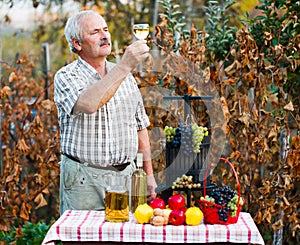 Examining of wine by man