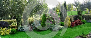 Example of backyard decorating and grouping plants, 3D render