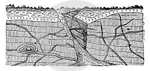 Example eruptive veins through the stratified rocks, vintage engraving