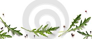 Example food blog background or cooking banner background. Spices and herbs. Variety of fresh arugula mediterranean herbs