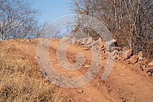 Example of the rocky, steep, and narrow roads the park vehicles must navigate through Ranthambore National Park and Tiger Reserve