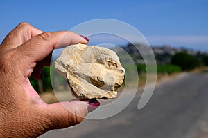 Example of terres blanches clay-limestone white soils on vineyards around Sancerre wine making village, rows of sauvignon blanc