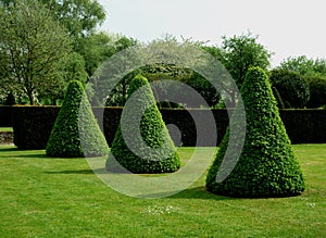 Example of topiary forming abstract shapes.