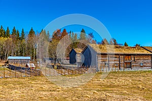 Examples of rural architecture in the Trondelag folk museum in Trondheim, Norway