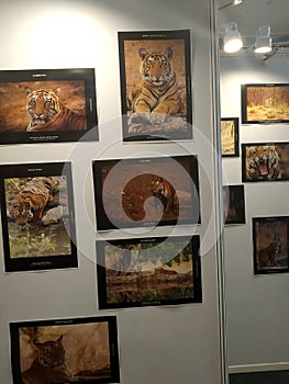 An exbition of difirent tiger resiviour in India