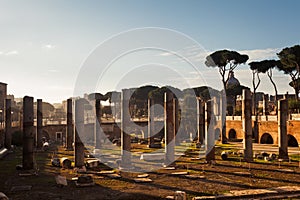 Excavation Site in Rome