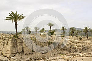 Excavations in the ancient city of Meggido Israel photo