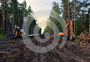 Excavator during clearing forest for Construction Gas Pipeline. Tracked Backhoe with forest clamp for forestry work. Natural Gas